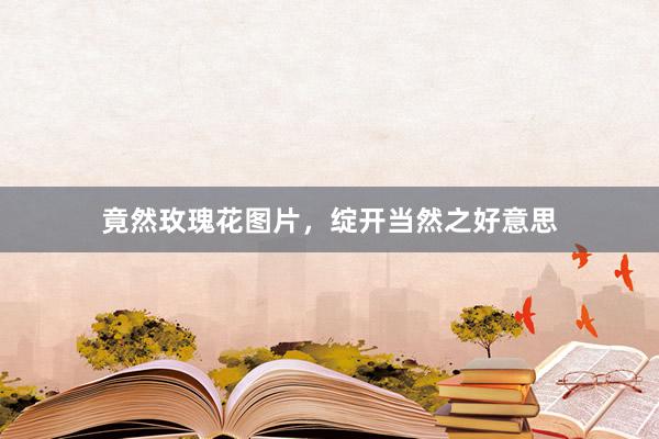 竟然玫瑰花图片，绽开当然之好意思